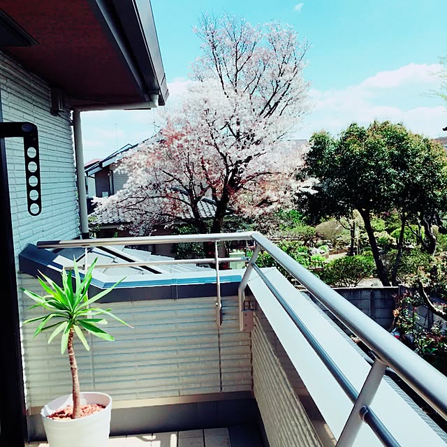 umeshurockde0823さんの実例写真