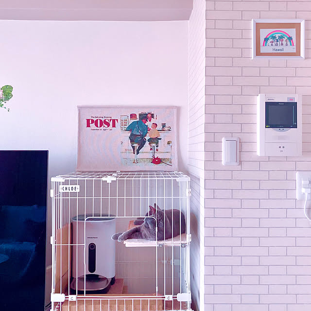 snoopyさんの部屋