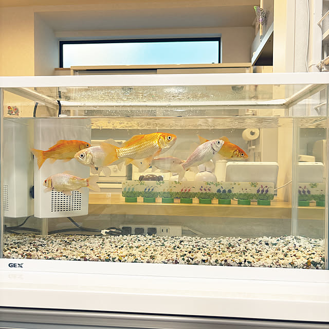 usakoさんの実例写真