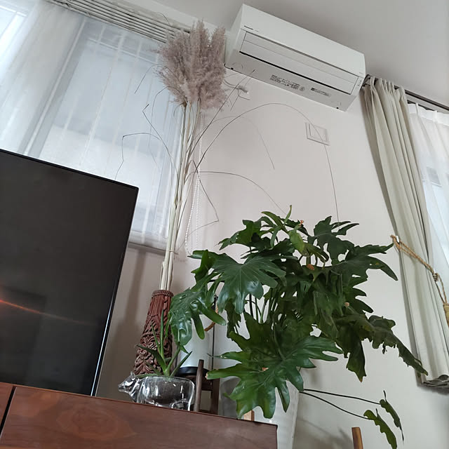momoさんの実例写真