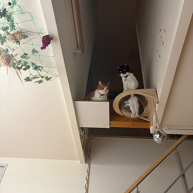 nさんの実例写真