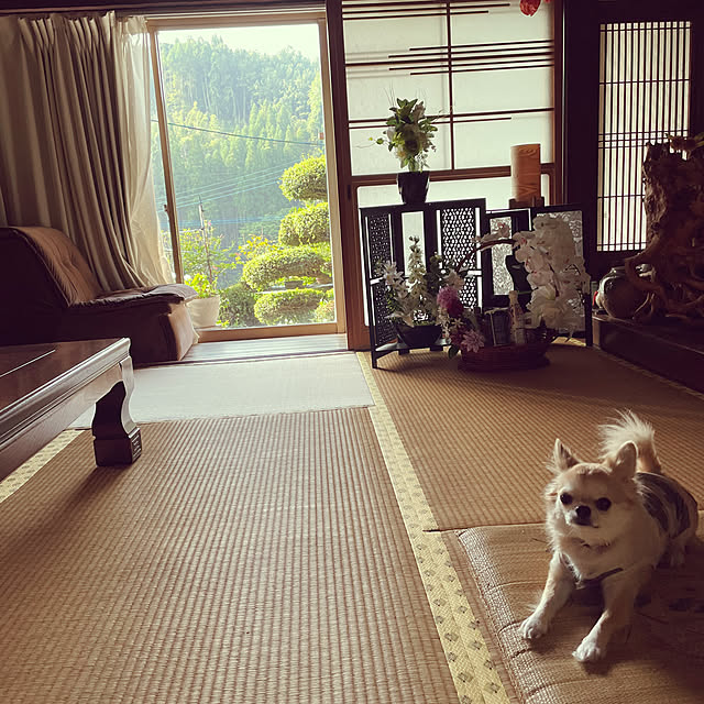 natsumiさんの部屋