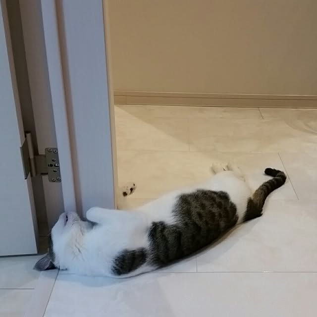 runayucoさんの実例写真