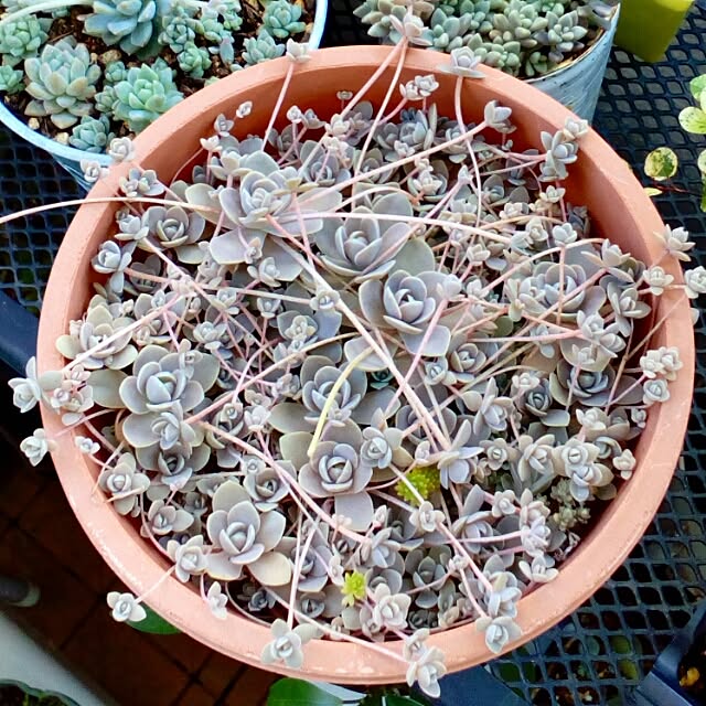 VERANDARJUNさんの実例写真