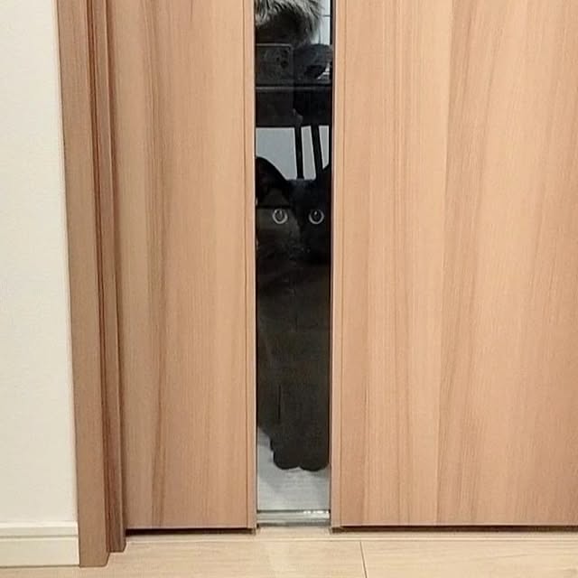 sakuraさんの実例写真