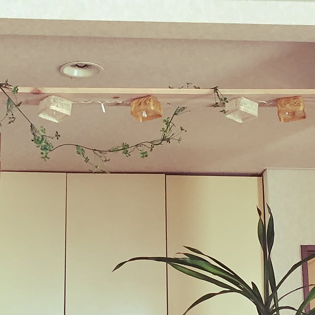 Kuuさんの実例写真
