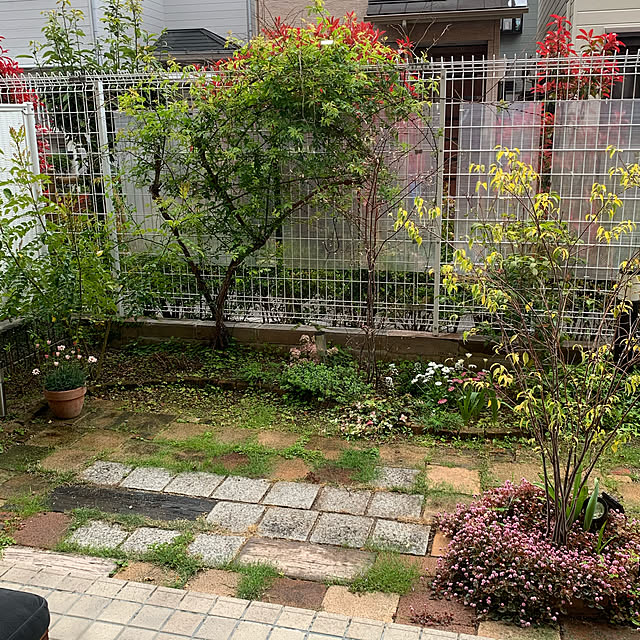 shizu2380さんの実例写真