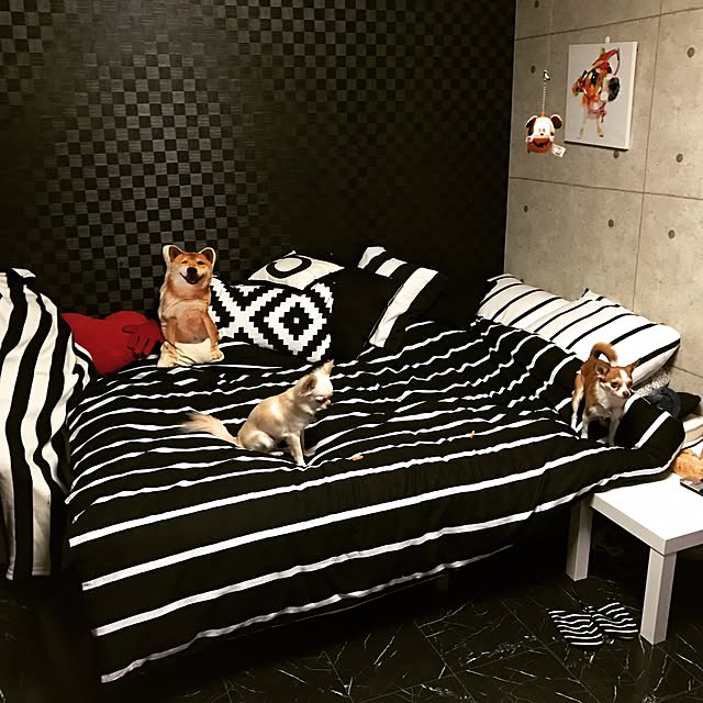 Shindさんの実例写真
