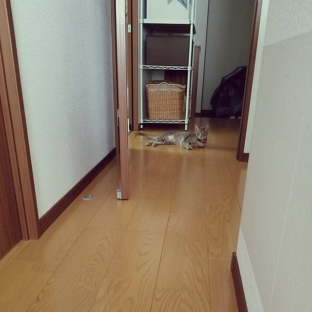 yukiさんの実例写真