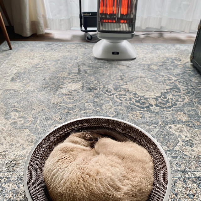 capelさんの部屋