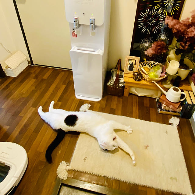 YUKAさんの部屋