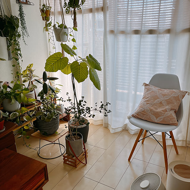 mikiteacupさんの部屋