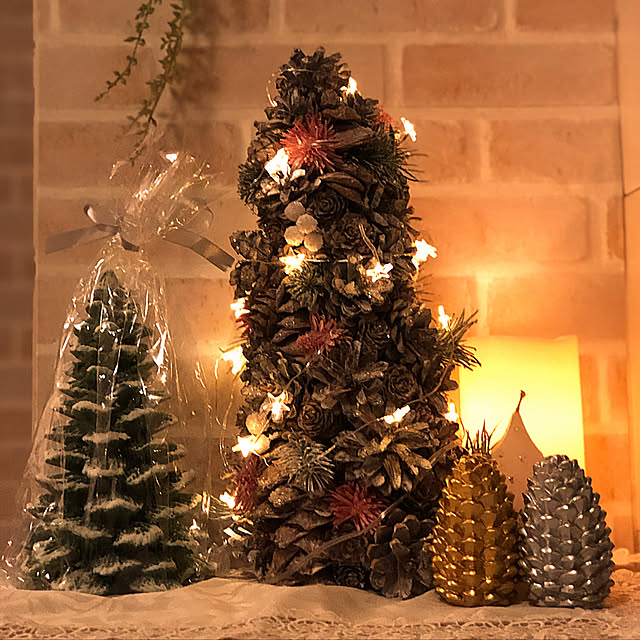 kainyanさんの実例写真