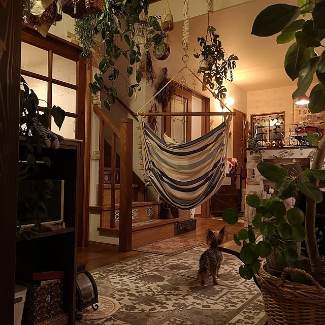 akiさんの実例写真