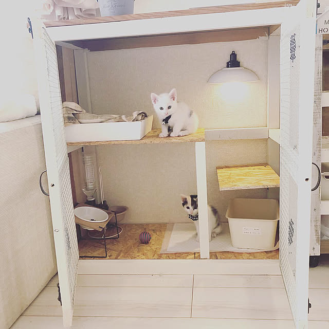 Yukoさんの実例写真