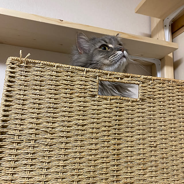 yokoさんの部屋