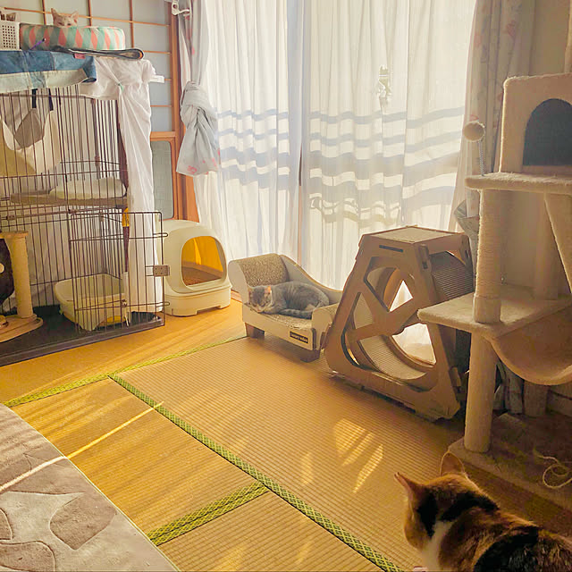 Oreoさんの実例写真