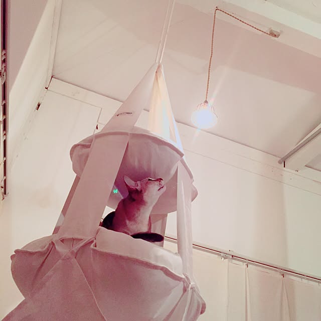 jaajjiさんの実例写真