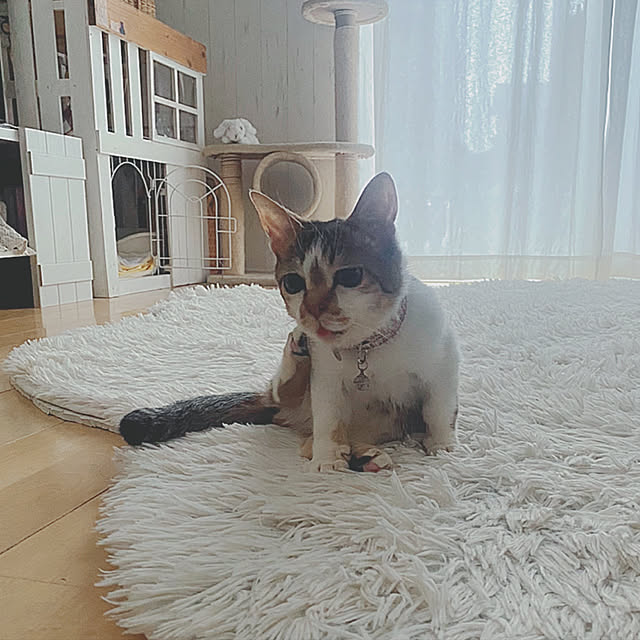 hinaさんの実例写真