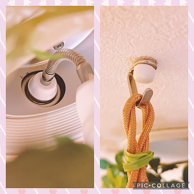 moolさんの部屋