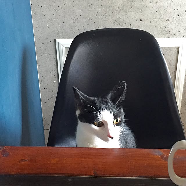 ziziguguさんの実例写真