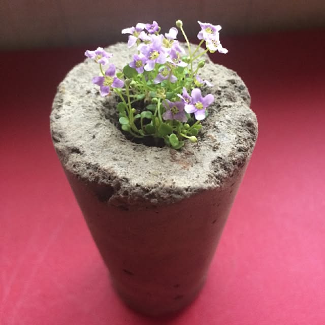 HideoNakamoriさんの実例写真