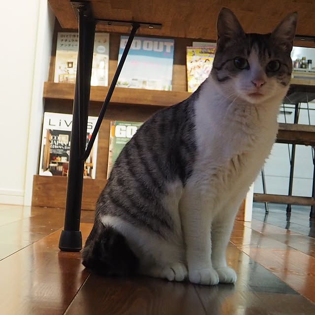 Haruさんの実例写真