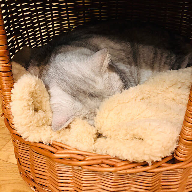 sakura_171220さんの実例写真