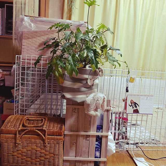 chelichanさんの実例写真