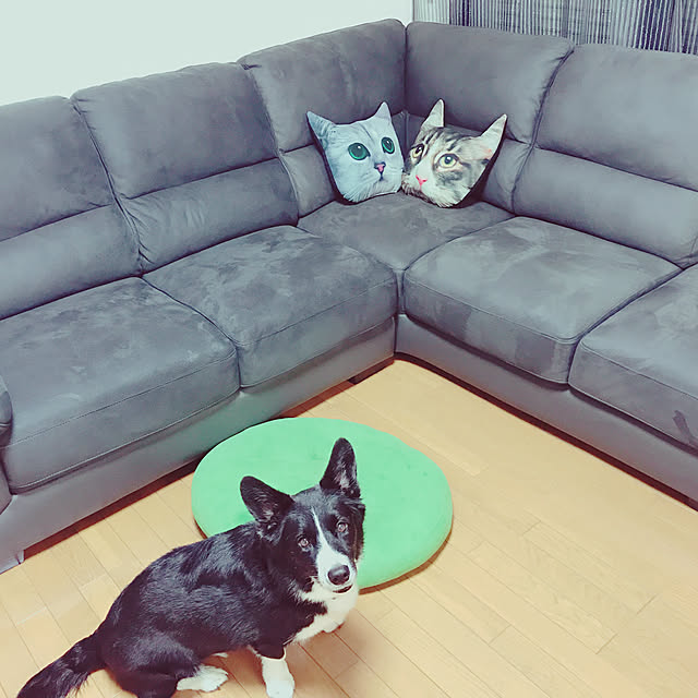 実例写真