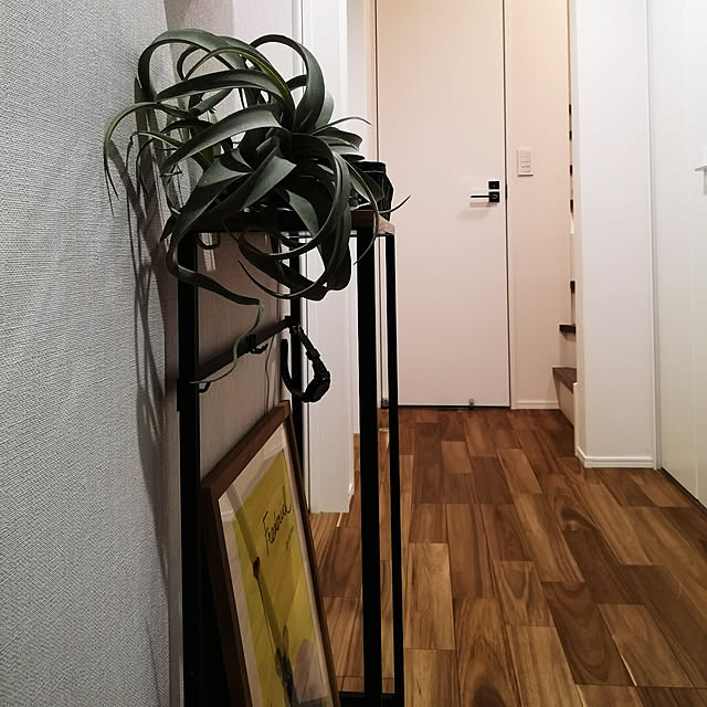 korさんの実例写真