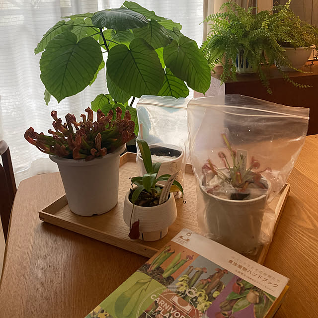 kaoriさんの部屋
