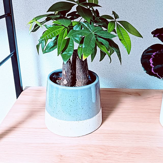 hanachanさんの実例写真