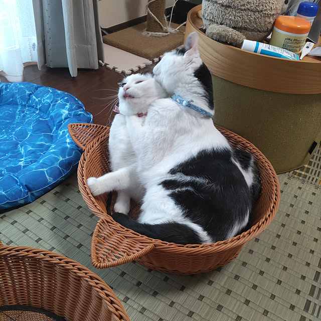 yuuさんの実例写真