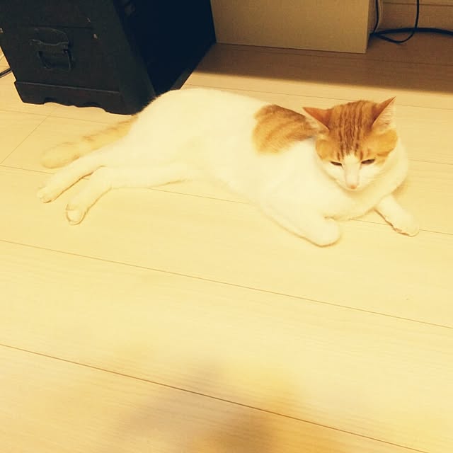 3110さんの実例写真