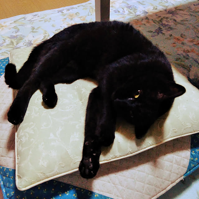 hiroさんの実例写真