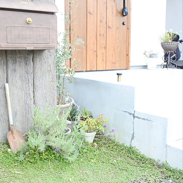 y_homeさんの実例写真