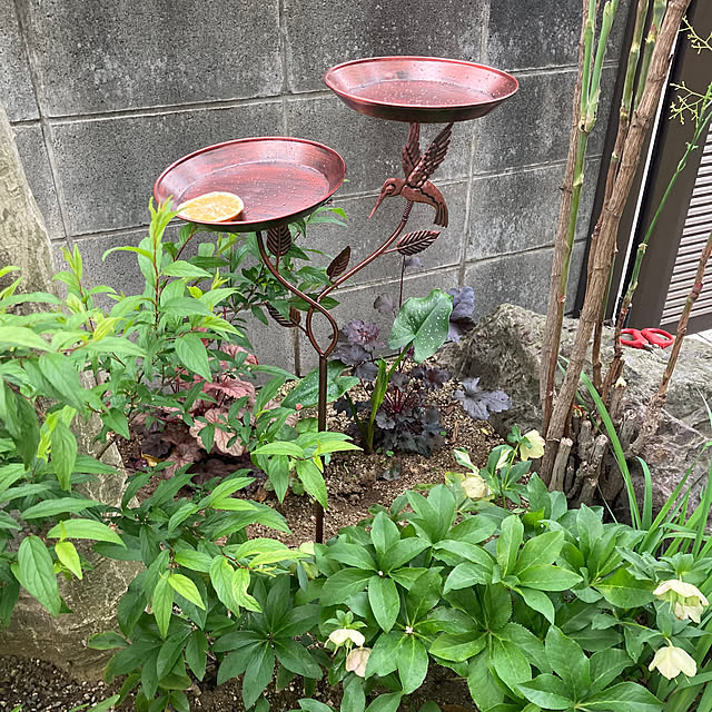 mamaさんの部屋