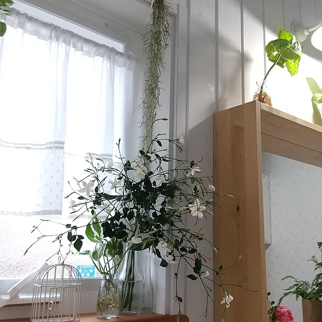 yukkoさんの実例写真