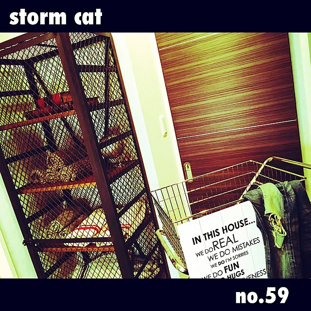stormcatさんの実例写真