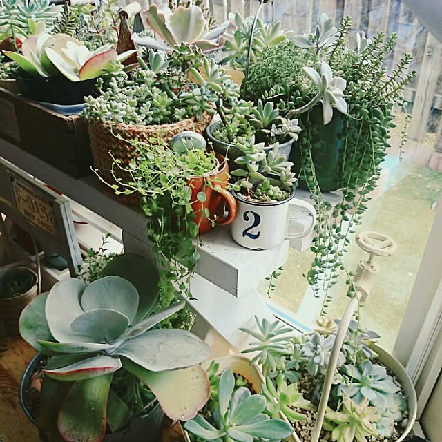 tiny-tinyさんの実例写真