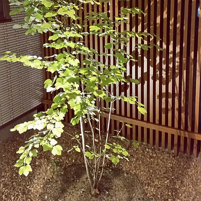 kroomさんの実例写真