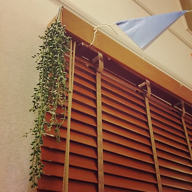urchinさんの実例写真