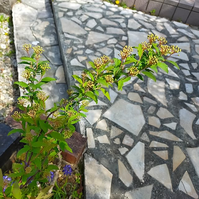 michiさんの部屋