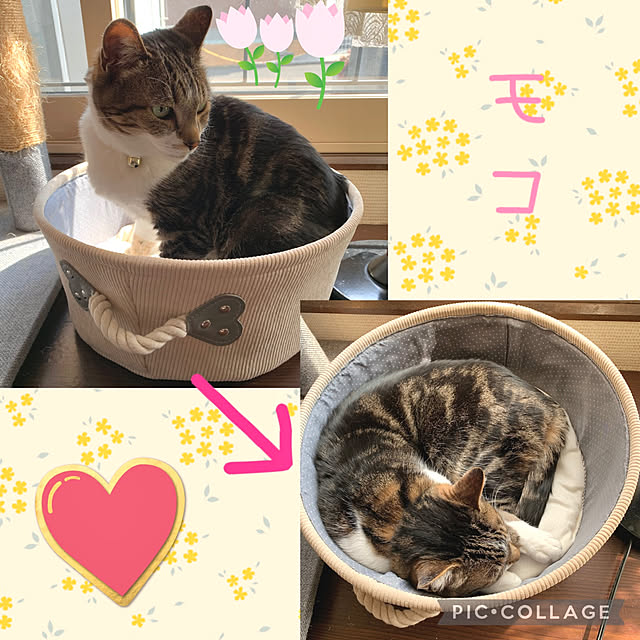 mariさんの実例写真