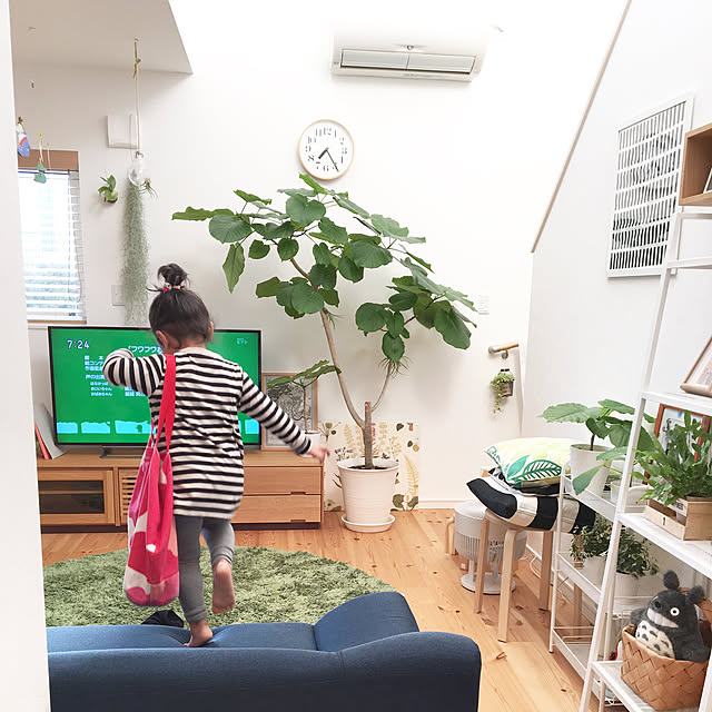 kana_homeさんの実例写真