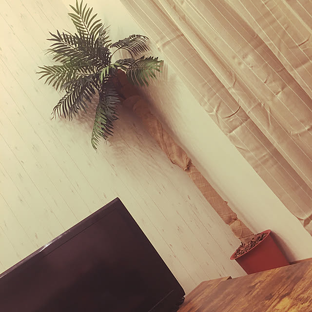 makoさんの実例写真