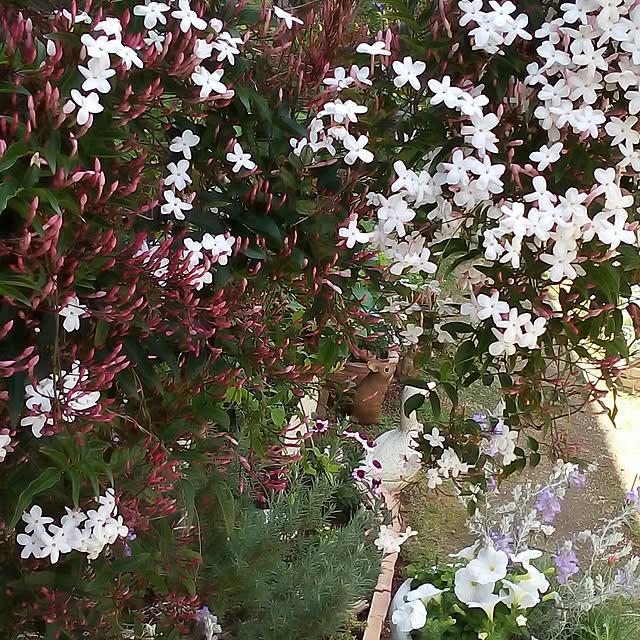 mariagardenさんの実例写真