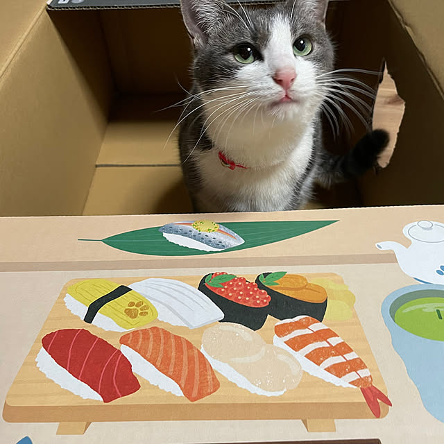 nekosamaさんの部屋
