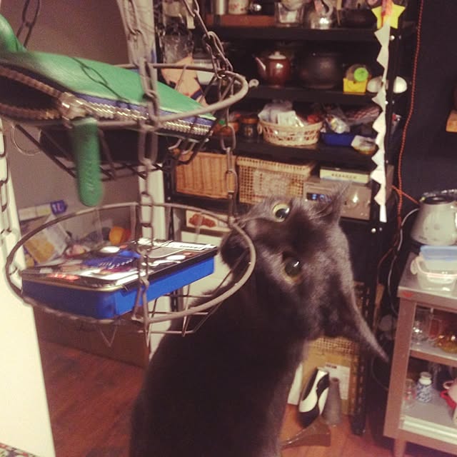 chamiさんの実例写真